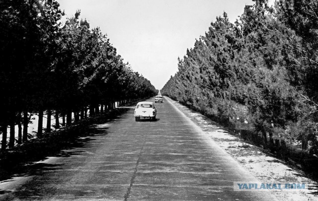 Афганистан: фото 1949-1969 годов