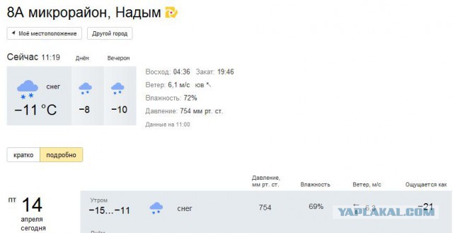 Питерская весна, будь она неладна