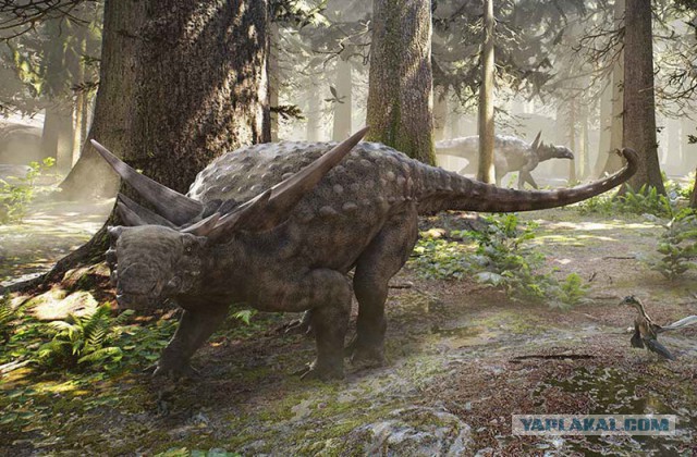 Канадские шахтеры нашли "мумию" динозавра возрастом 110 миллионов лет