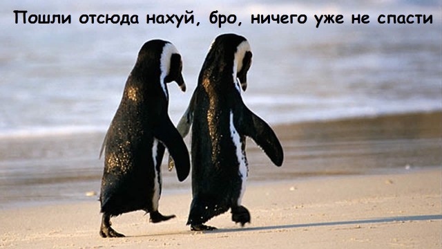 Формула 1. Межсезонье.