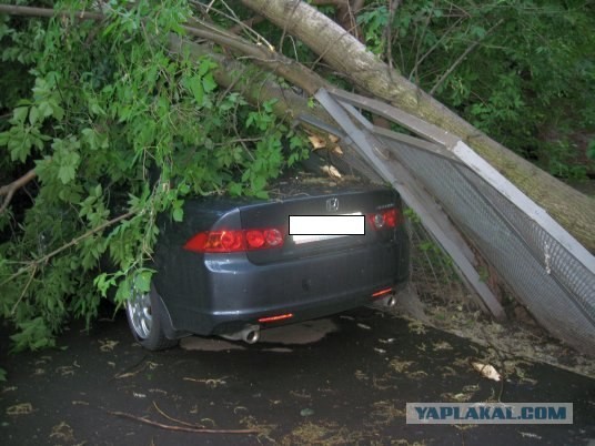 Ураган в Москве, 11 июня 2009