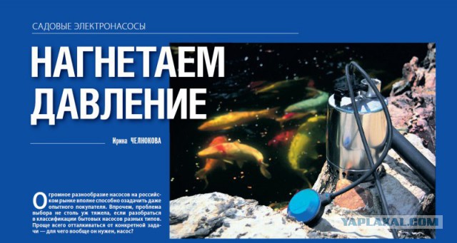 Россияне массово бросились забирать деньги из банков