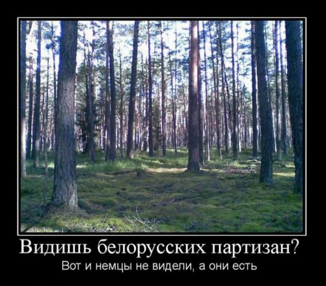 Выживальщики