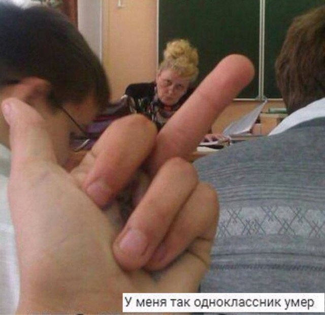 Лента прикольных картинок