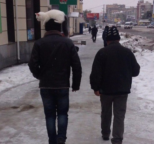 Чудики из социальных сетей 05.01.19