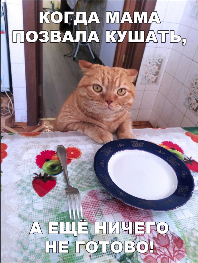 Нестандартный юмор