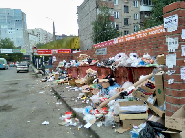 И всё-таки она наша. Лента картинок