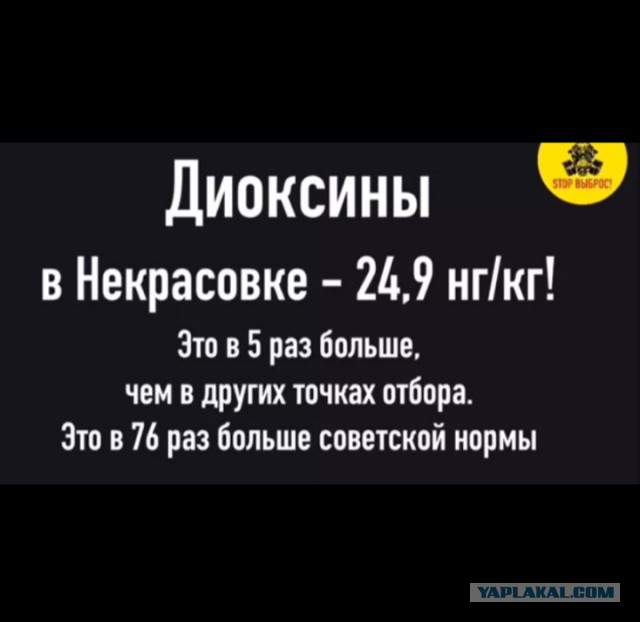 Что нужно сделать, чтобы осчастливить целый район?