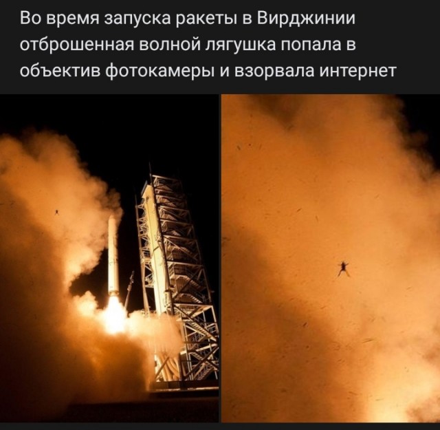Мужик или Мужчина?