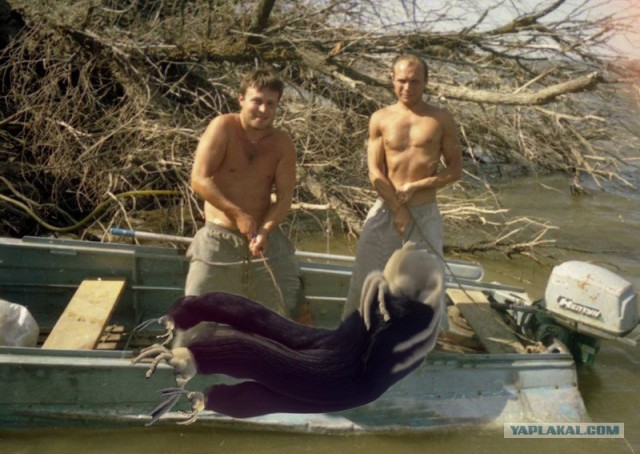 Жабим Улов