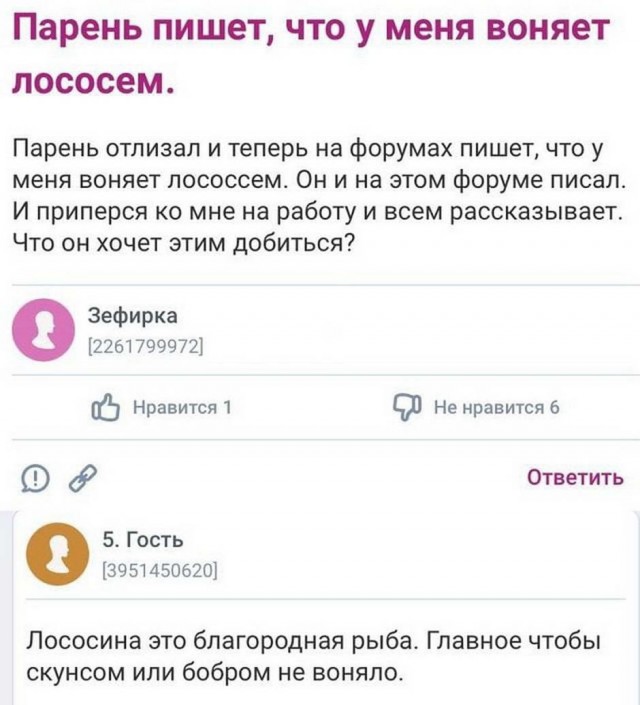 Бредзона 10.11.2020