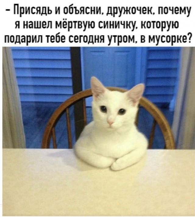 Картинки и мемы для настроения 025