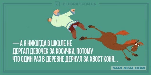 В центре Петербурга лошадь откусила нос молодому человеку. Он пытался поцеловать животное в рот