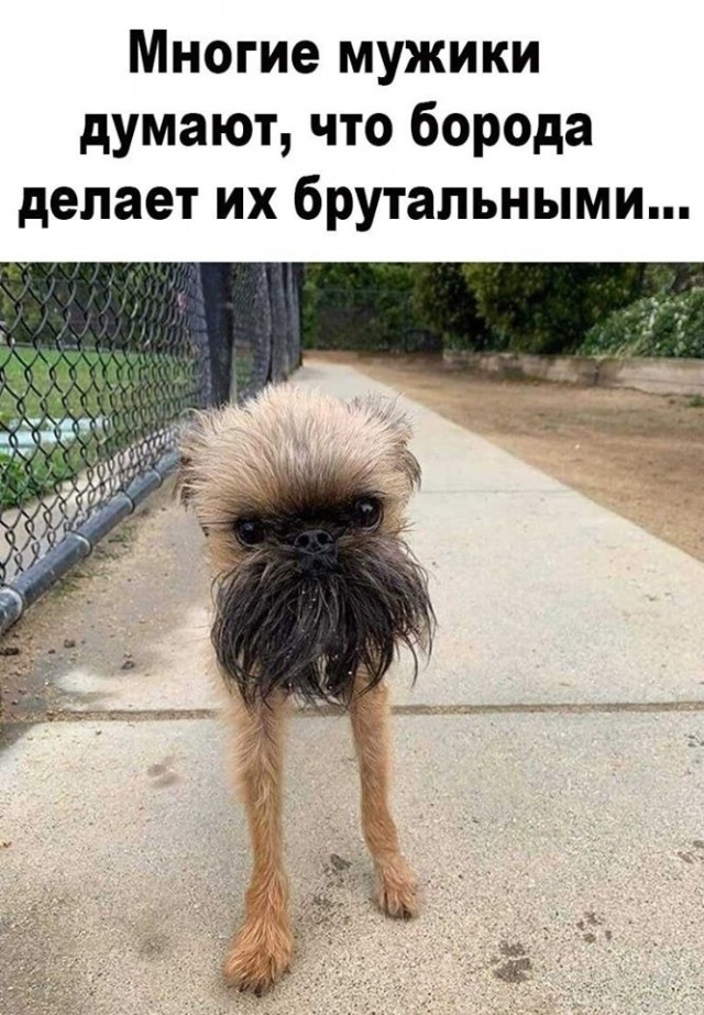 Боянистые картинки 19.12.20