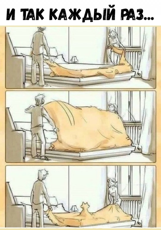 Картинки, соцсети, и всякие жизненные фразы