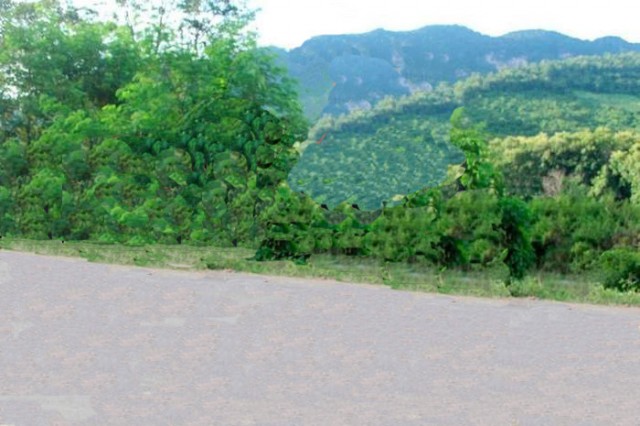 Фотожаба: любопытный парень