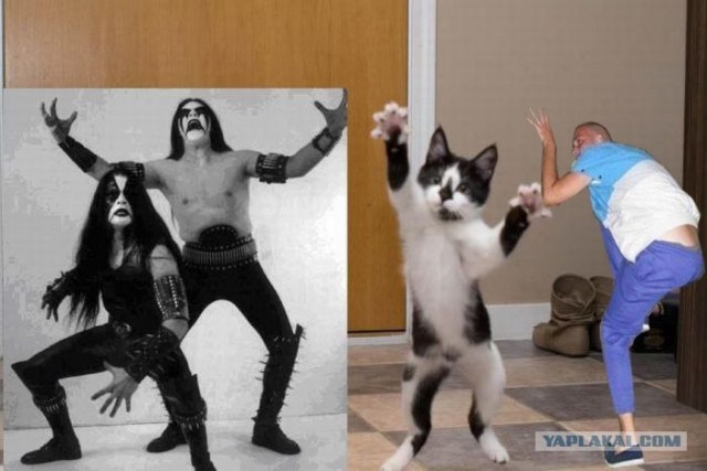 Фотожаба: ...как будто он не пьяный