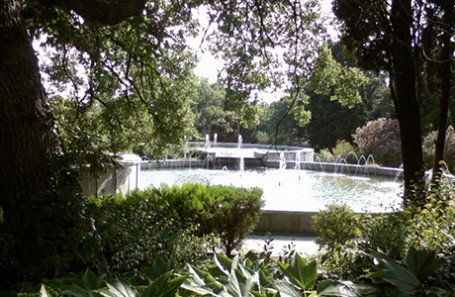 Жители Крыма просят Путина остановить вырубку деревьев в Форосском парке