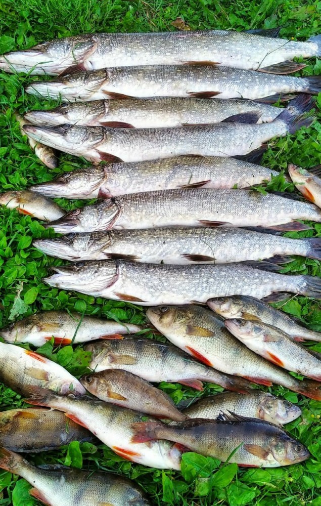 Рыбалка в Тульской области