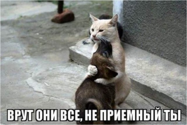 Картинки на вчера