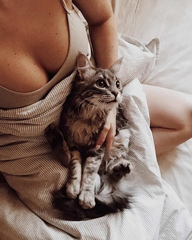 Девушки котовторника