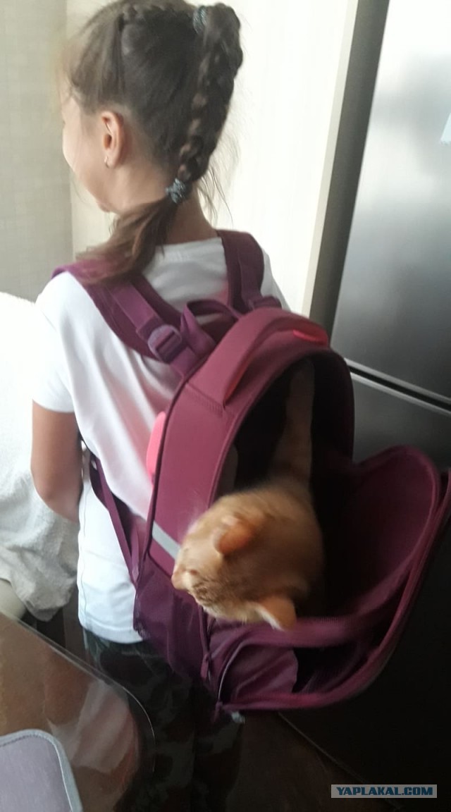 Мой самый первый КОТовторник!