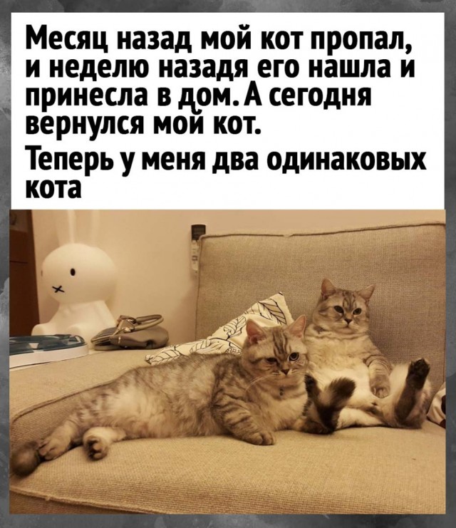 Так себе картинки 30.03.22