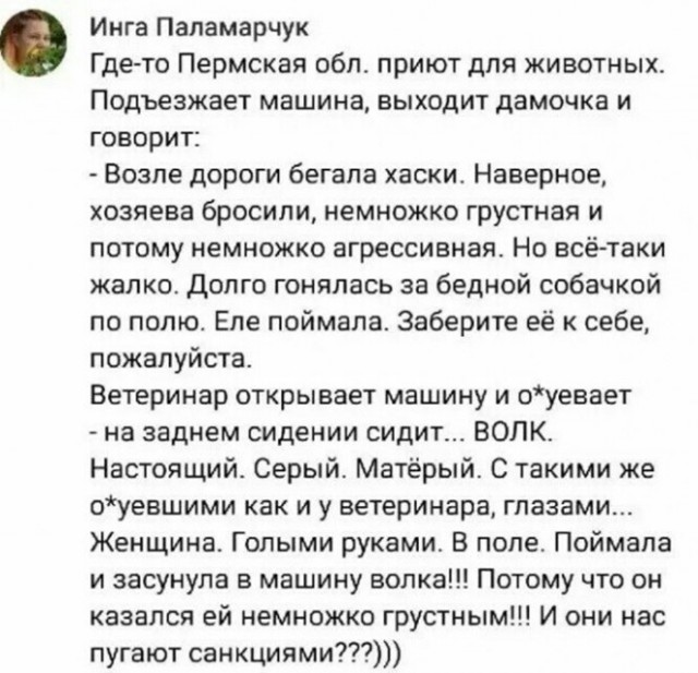 Баянисто-небаянистый юмор 7.04.22