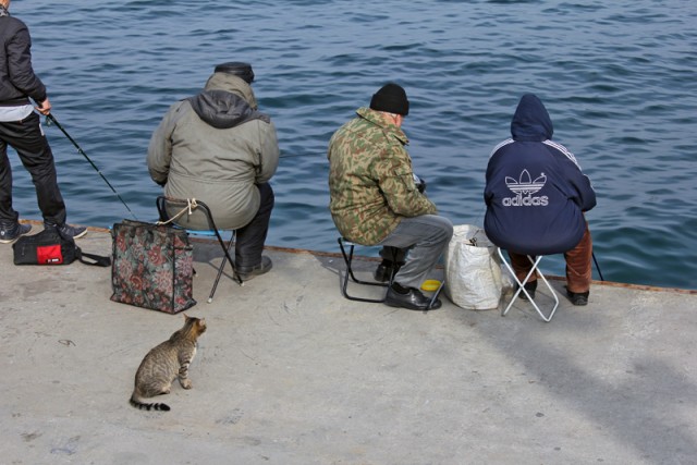 Дальний Восток. Панорамы Владивостока.