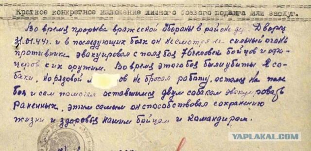 Про них мы тоже помним