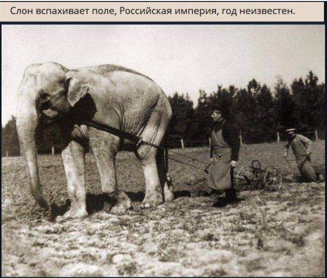 Картинки с надписями и всякие жизненные фразы