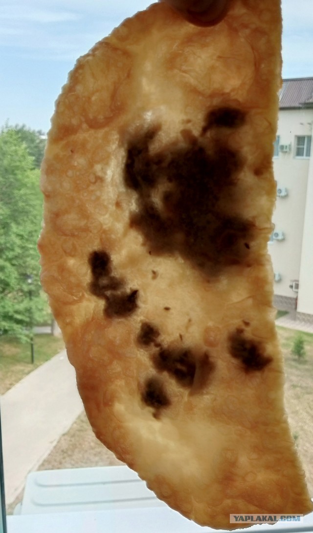 Чебуреки. Витязево