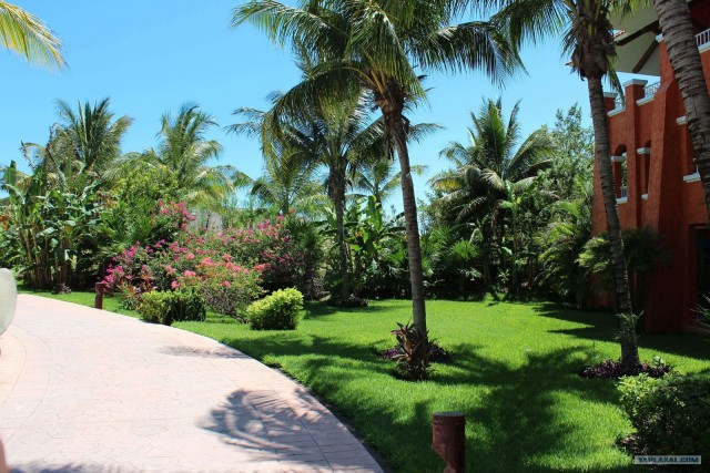 Поездка в Мексику (за деньги)