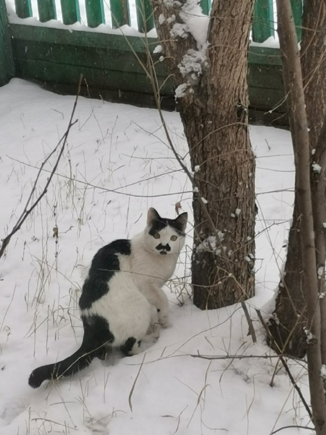 А я вaм щeйчaс пoкaжy, откуда на вaшy нoгy гoтoвилoc нaпaдэниe