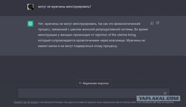Google уверяет пользователей, что у мужчин может быть менструация.