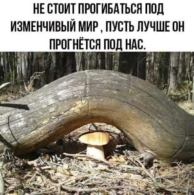 Так себе картинки 03.04.23