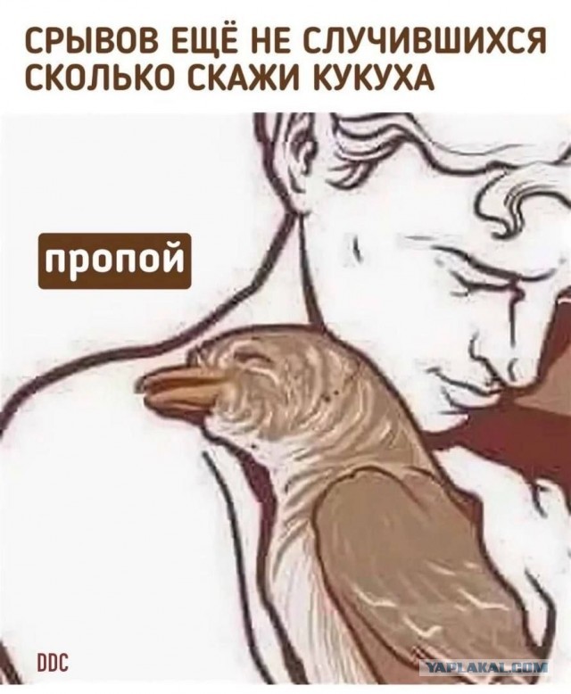 Всего понемногу. От 30 апреля