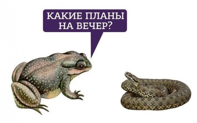 Кадыров ответил «так называемому боевому товарищу» Пригожину