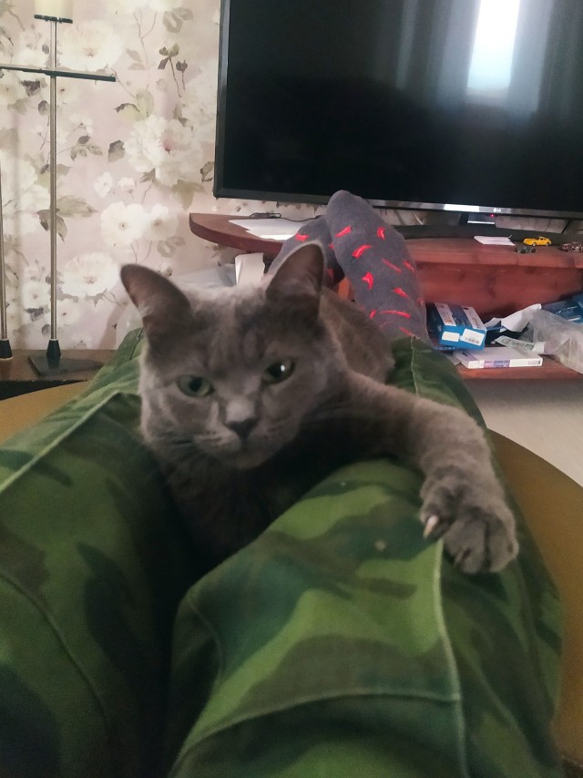 Прибавление в рядах рабов