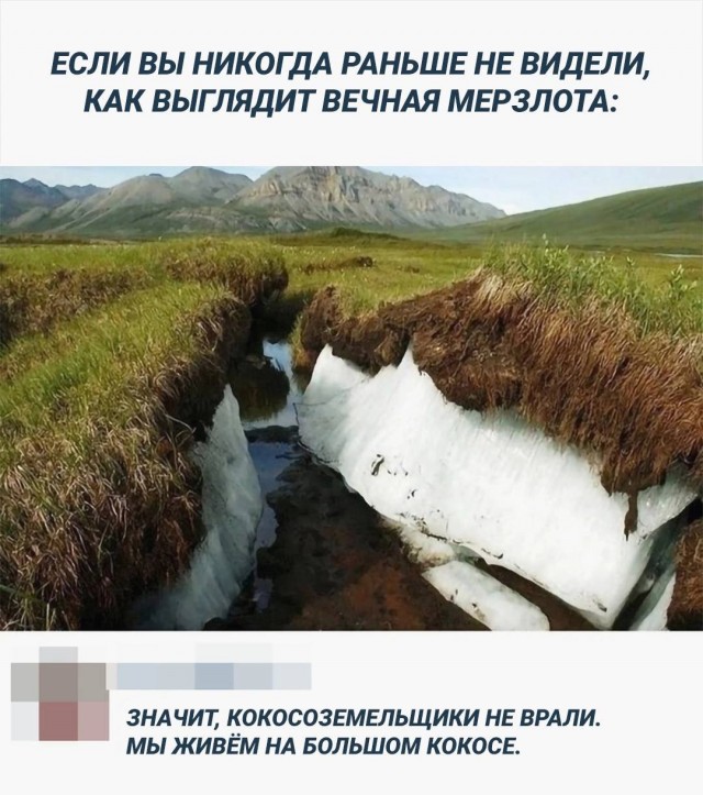 Картинок пост, баянистых и не очень