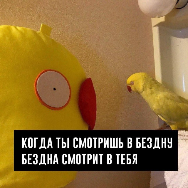 Никакие картинки и тексты