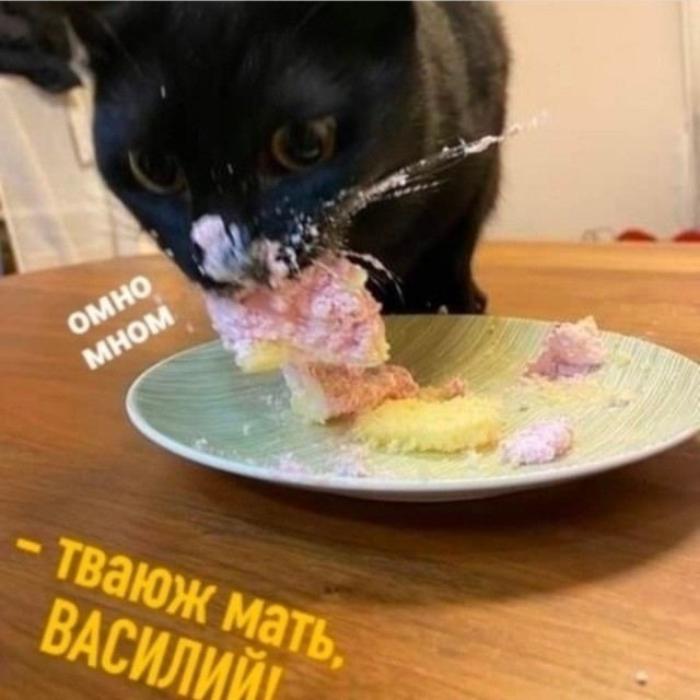 Мы с котом вдвоём