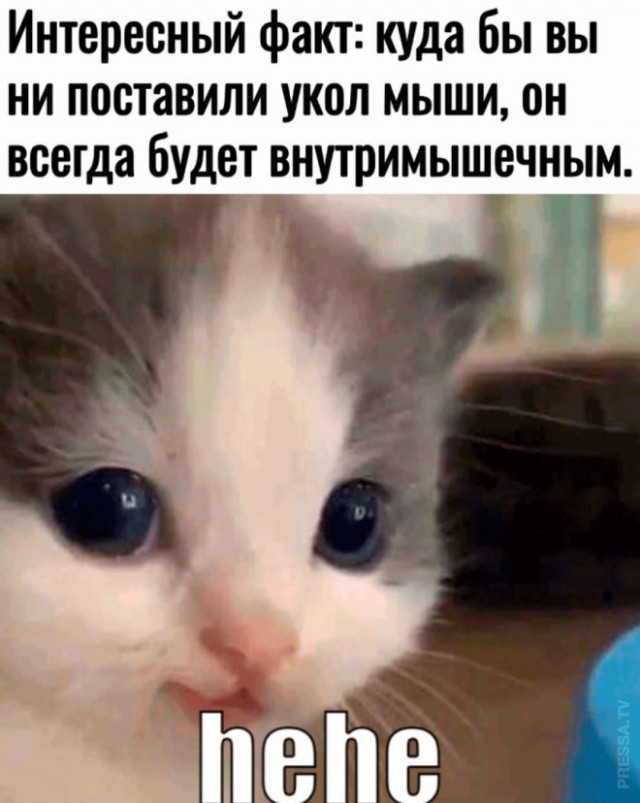 Веселые картинки к пятнице (26.07)