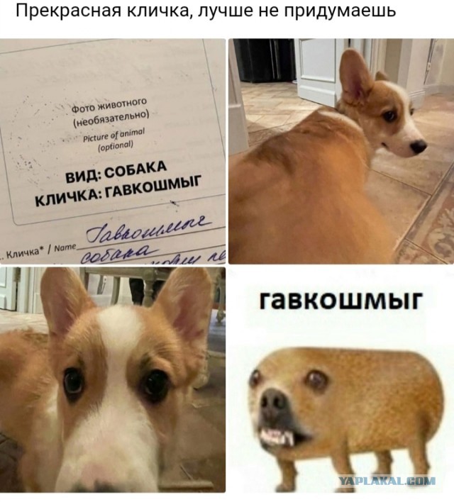 Так себе картинки 04.09.24