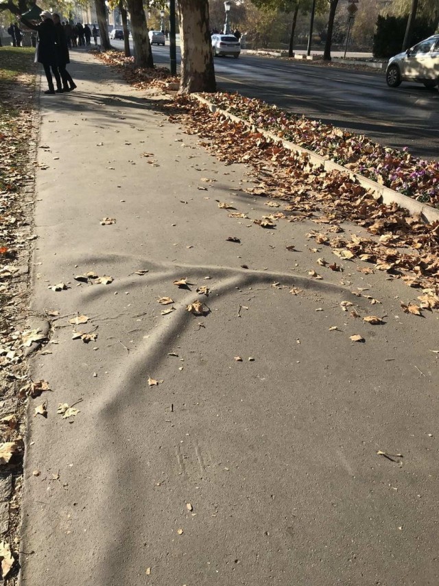 Прикольные и просто красивые картинки 11.10.2024