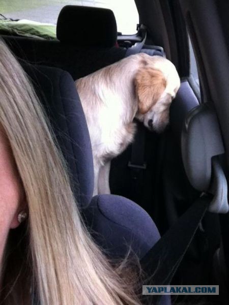 Вместо тысячи слов!)