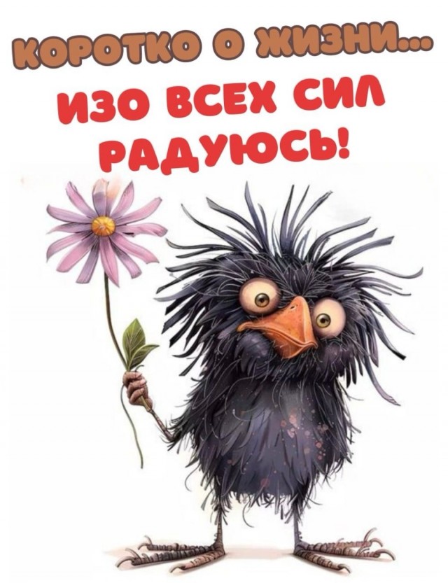 Прикольные и просто красивые картинки 30.05.2025
