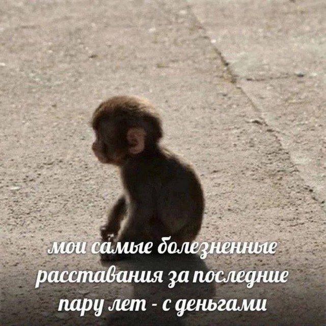 Веселые картинки в пятницу (11.07)