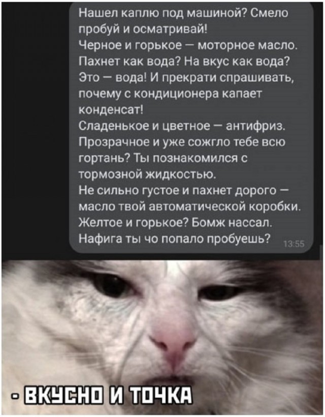 Так себе картинки 13.09.25