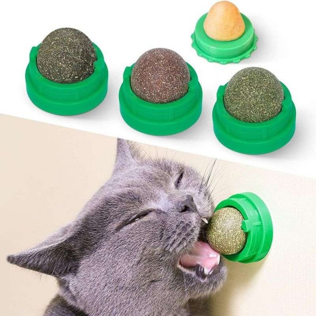 Купили игрушку для ленивого кота